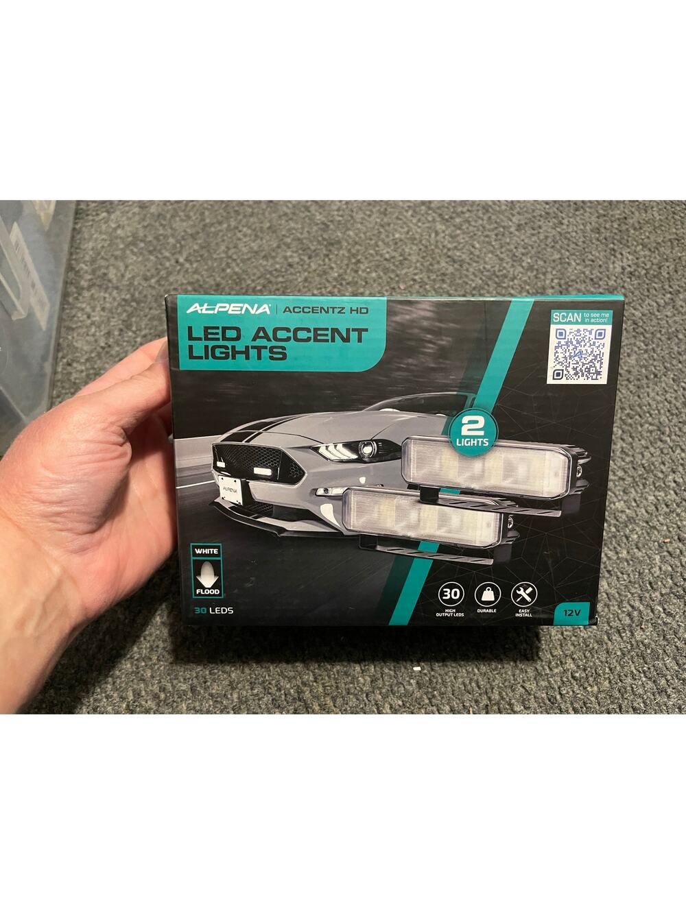 NWT Alpena LED accent lights